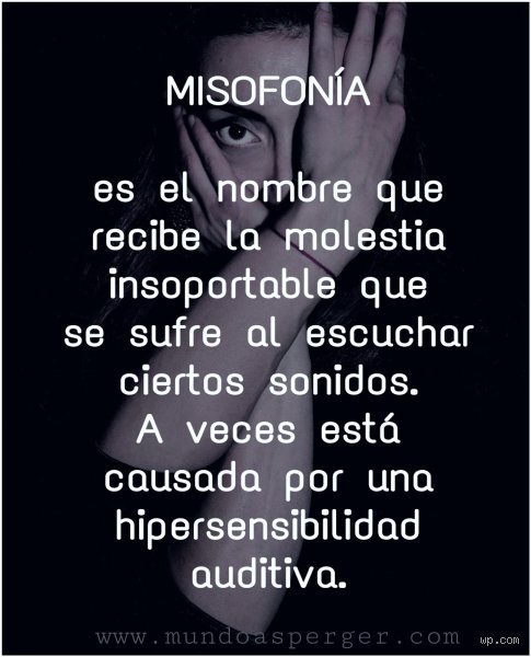 ¿Es misofonía o autismo?