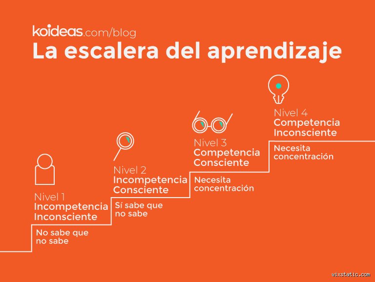 ¿Cuáles son los 4 niveles de enseñanza? Guía profunda para entender la estructura educativa actual y sus desafíos reales