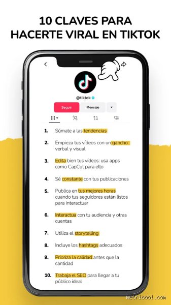 ¿Cómo se vuelve viral un video en TikTok?