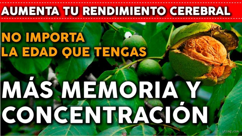 ¿Qué plantas puedo usar para oxigenar mi cerebro rápidamente?