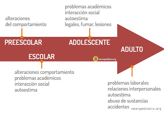 ¿Existe realmente un momento perfecto? Descubriendo cuál es la mejor edad para diagnosticar TDAH y por qué el reloj no siempre ayuda