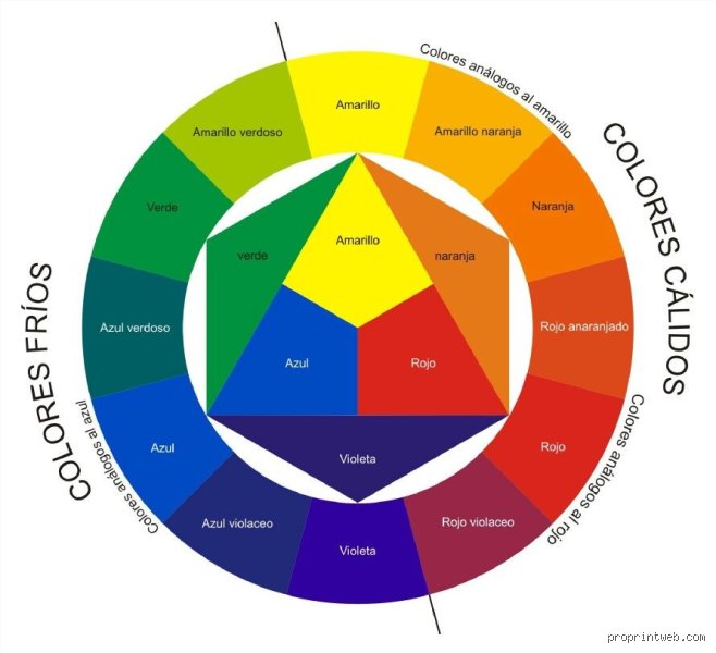 Cómo se lee el círculo cromático y cuáles son los 12 colores: Guía técnica para dominar la armonía visual hoy