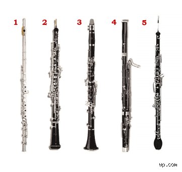 ¿Cómo se llama algo parecido a la flauta? Descubre los instrumentos de viento que comparten su ADN musical