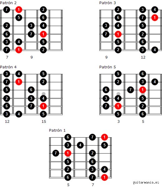 ¿Cuál es el patrón de una escala mayor? Desmontando el ADN musical que define nuestra forma de escuchar el mundo