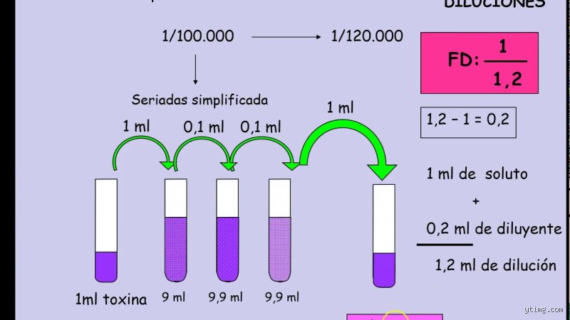 ¿Cómo se hace una dilución 1/4?