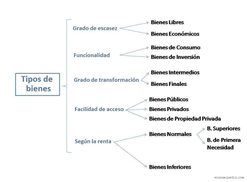 ¿Cuáles son los 3 tipos de bienes?