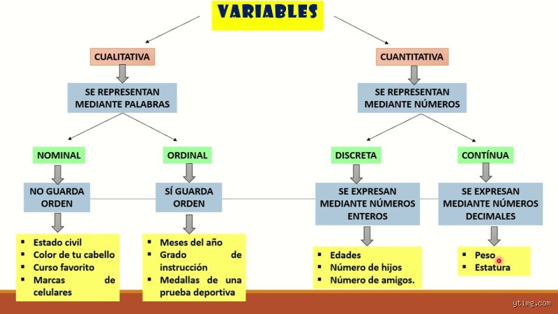 ¿Cuáles son los 8 tipos de variables?