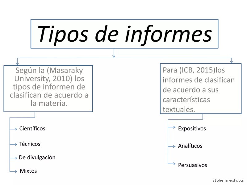 ¿Cuáles son los cuatro tipos principales de informes?