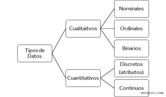 ¿Cuántos tipos de datos existen?