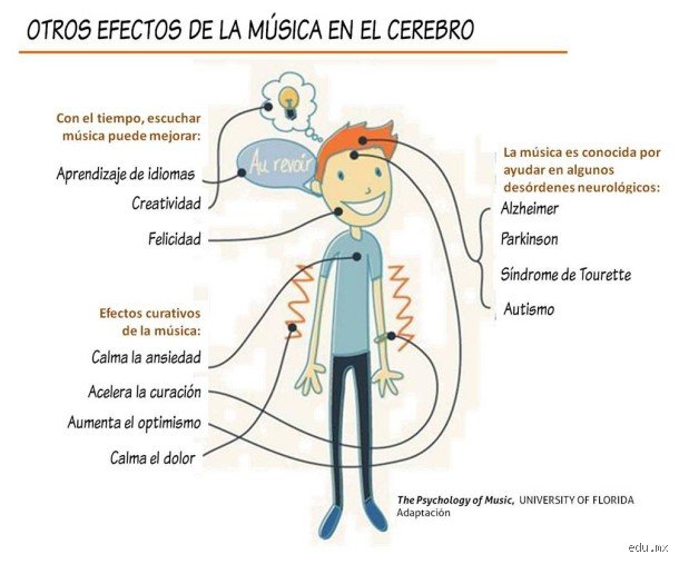 ¿Cómo se le llama al músico que aprende solo?