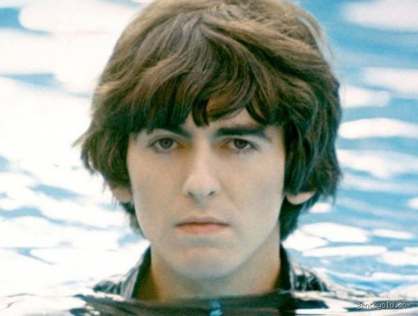 ¿Cuál es el Beatle más querido?