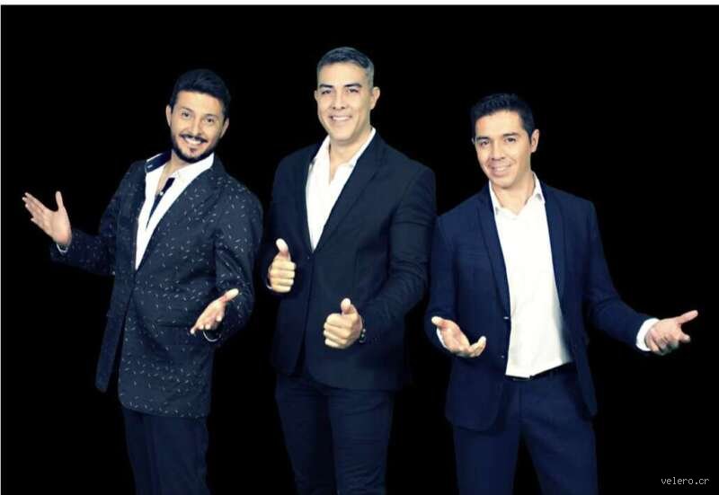 ¿Los cantantes son músicos?