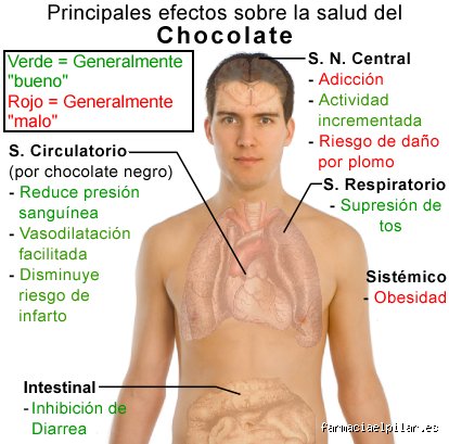 ¿Afecta el chocolate al canto?