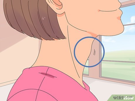 ¿Cómo lubricar la garganta para cantar?