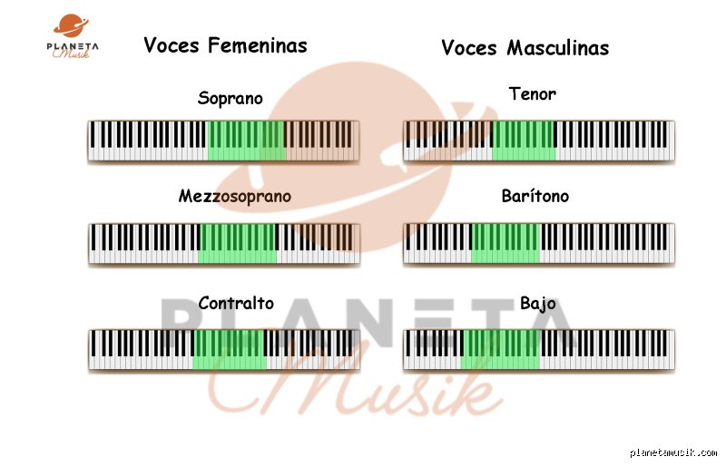 ¿Cuál es el rango vocal promedio de una mujer?