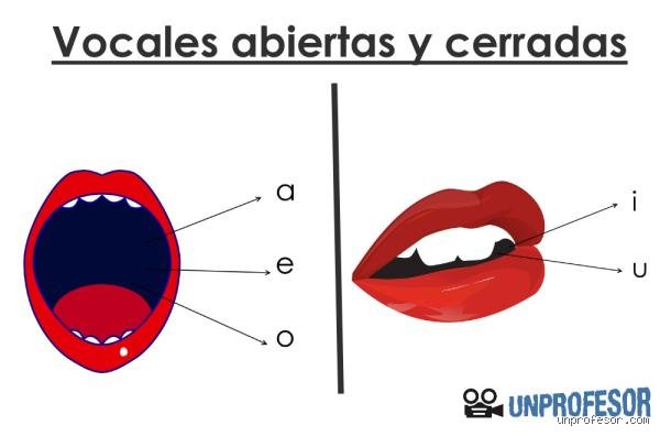 ¿Cuáles son los 4 elementos vocales?