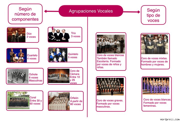 ¿Cuáles son los 4 grupos vocales?
