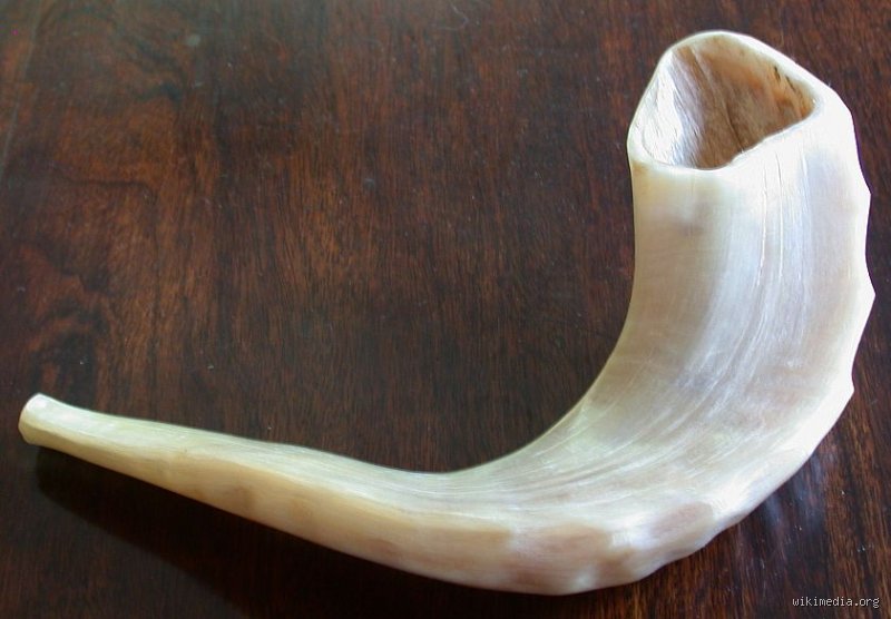 ¿Cómo se dice "shofar" en español? Una inmersión profunda en la traducción, etimología y trascendencia de un artefacto milenario (Parte I)