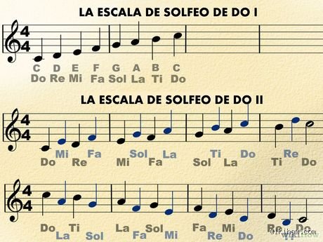 Guia definitiva y paso a paso sobre cómo enseñar a leer las notas musicales a cualquier principiante