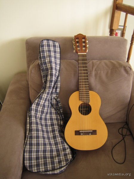 Guia definitiva sobre como se llama la guitarra que tiene seis cuerdas y su fascinante impacto musical
