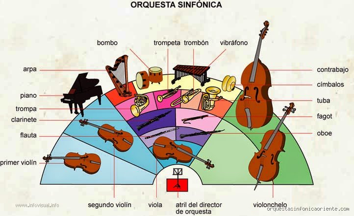¿Cómo se llaman los que tocan en una orquesta? El laberinto de roles tras el escenario sinfónico