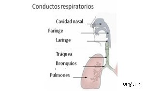 Guia Definitiva Sobre Cual Es Otra Forma De Decir Hendidura Y Sus Matices Lexicos