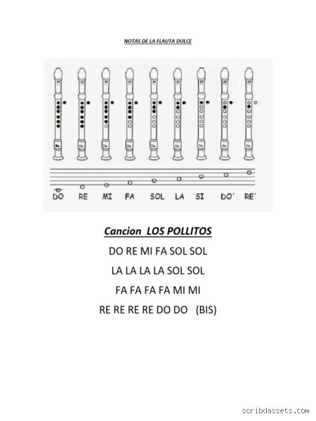 Dominando la Flauta Dulce: Anatomía, Fundamentos y el Universo de las Notas Musicales (Parte I)