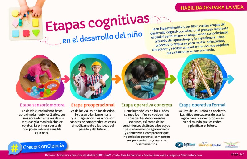 Descifrando la arquitectura de la mente: ¿Cuáles son los 4 niveles cognitivos y cómo transforman nuestra realidad diaria?