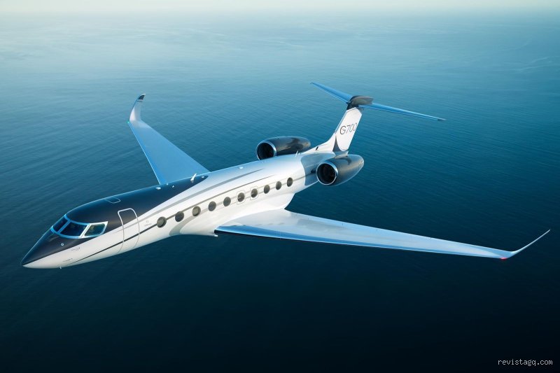 El precio de la libertad aérea: ¿Cuánto vale realmente el jet de Elon Musk en el mercado actual?