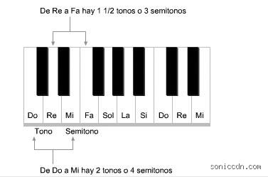 ¿Cuántos semitonos tiene una octava y por qué esta cifra define toda nuestra música occidental?