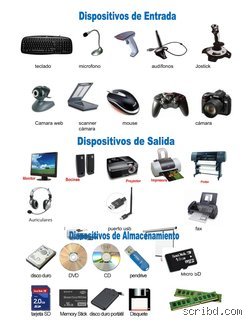 ¿Puedes darme 20 ejemplos de dispositivos de entrada y salida?
