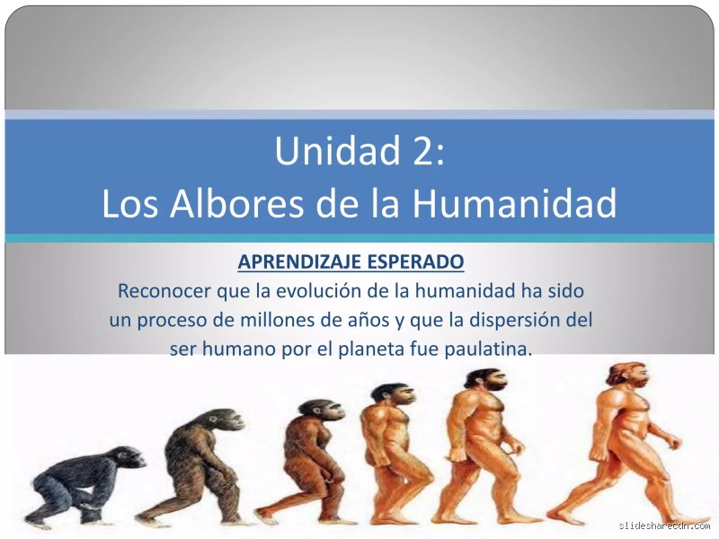 ¿Qué eran los albores?