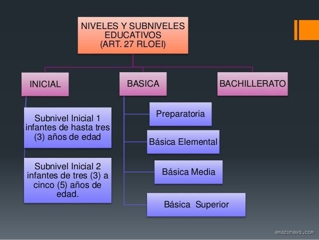 ¿Cuáles son los 3 niveles de educación?