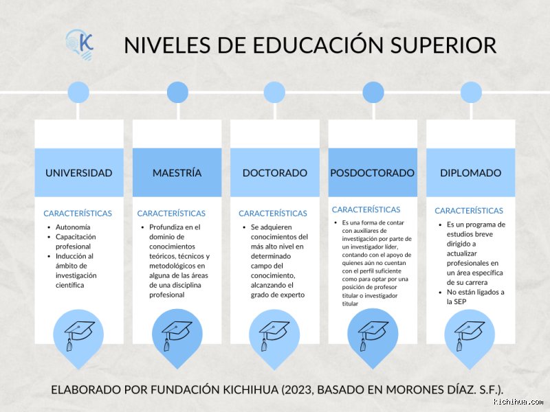¿Cuáles son los 4 niveles de educación superior?