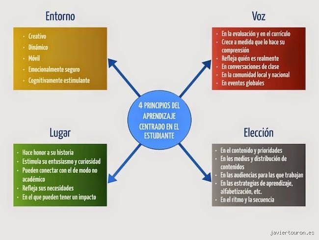 ¿Cuáles son los 4 principios de la educación?