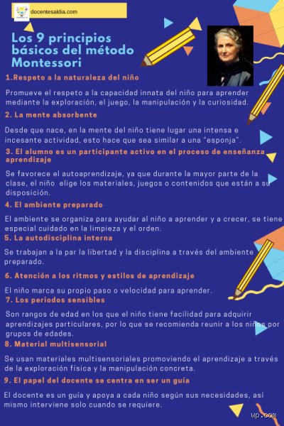 ¿Cuáles son los 8 principios de la educación Montessori?