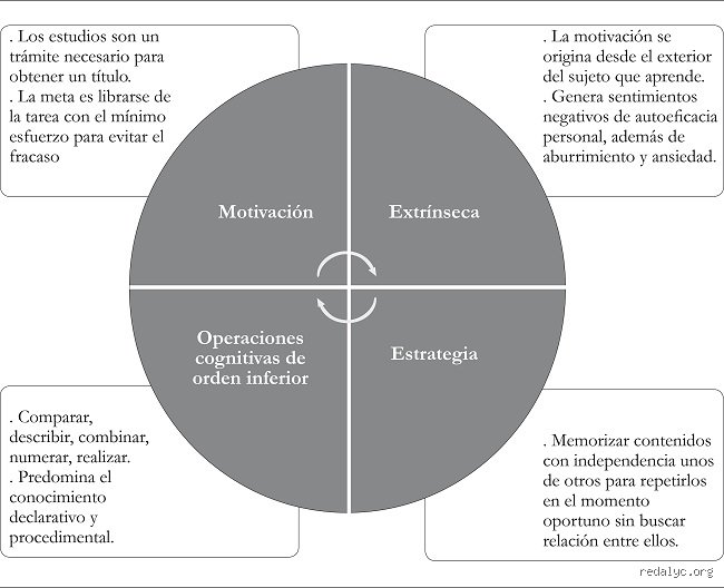 ¿Cuáles son los enfoques del aprendizaje?
