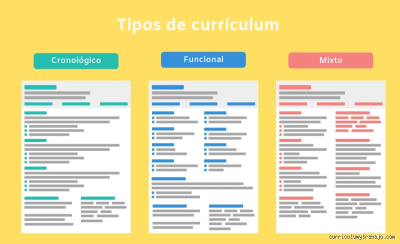 ¿Cuántos y cuáles tipos de currículums existen?