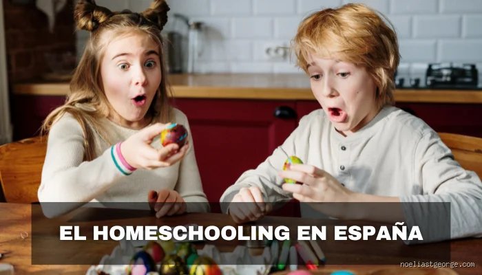 ¿Es legal la educación en casa en España?