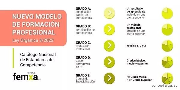 ¿Se puede realizar una formación profesional de nivel 4 teniendo un título universitario?