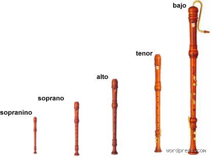 ¿Cómo se llama la flauta escolar y por qué este humilde trozo de plástico define tu infancia musical?