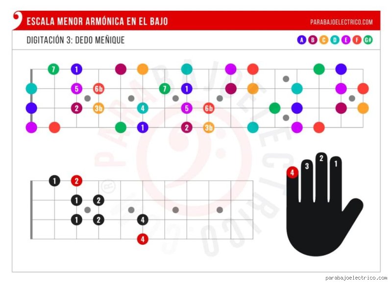 ¿Cuáles son las notas armónicas en el bajo para construir líneas memorables?