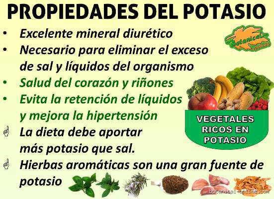 Guía Definitiva Sobre Para Qué Sirve el Potasio en los Hombres y Su Impacto Oculto en el Rendimiento Diario