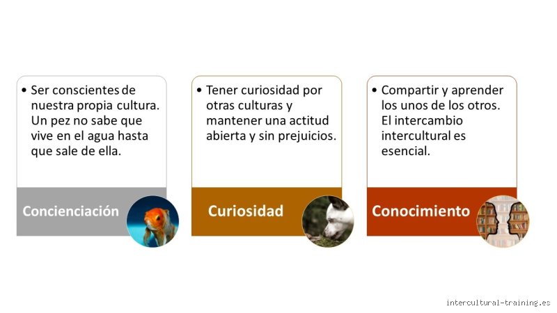 ¿Cuáles son las 3 C de la competencia?