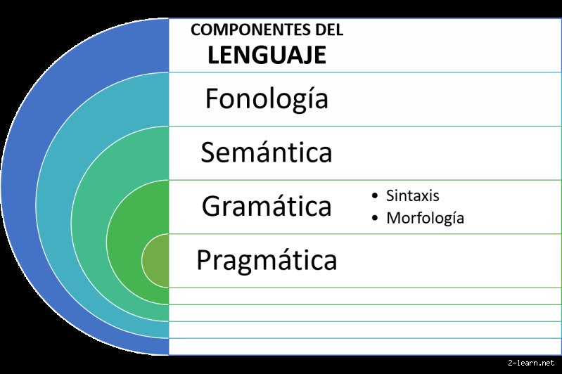 ¿Cuáles son las 4 partes del lenguaje?