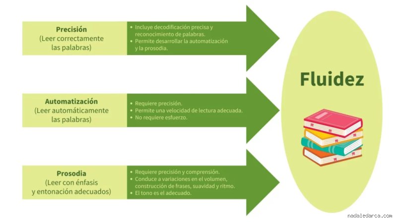¿Cuáles son los 4 tipos de fluidez?