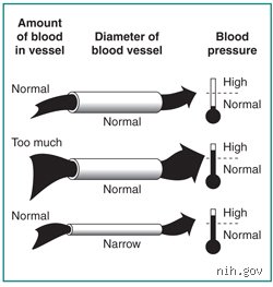 ¿Cómo afecta la insuficiencia renal a la presión arterial?