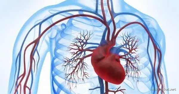 ¿Cómo puedo saber si mi corazón está recibiendo suficiente oxígeno?