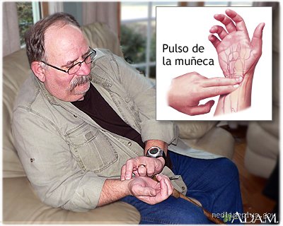¿Cómo revisar el corazón en casa?