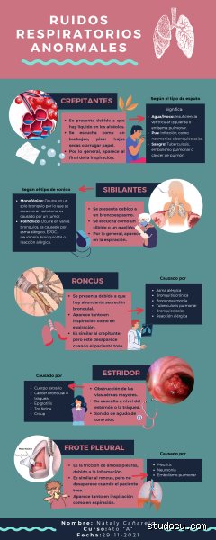 ¿Cuáles son 4 ruidos respiratorios anormales?
